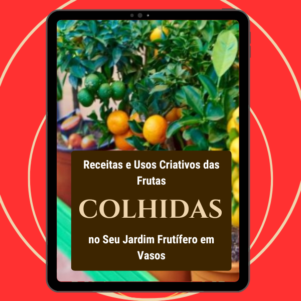 Receitas e Usos Criativos das Frutas